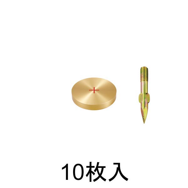 真鍮製基準点鋲 フラットタイプ 径50㎜ 10枚入_0